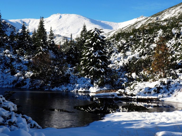 Kamery zakopane - Śledź na Żywo piękno polskich gór